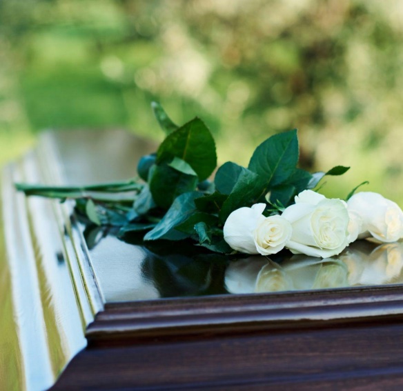 Rosas brancas